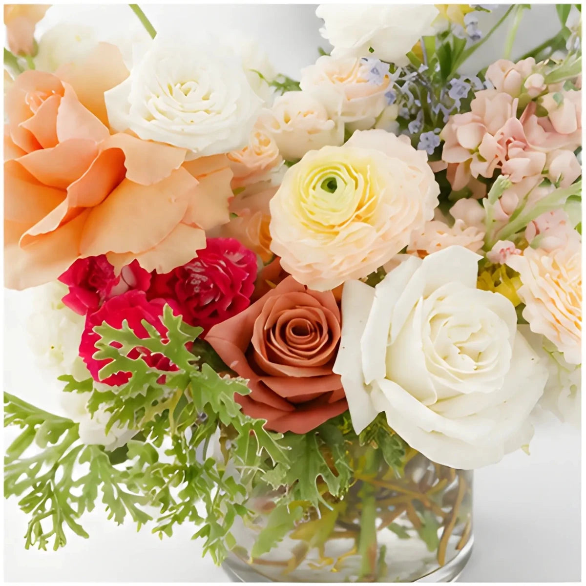 Designer’s Choice Floral Arrangement - IN 34 - SearchPify - Designer’s Choice Floral Arrangement - IN 34